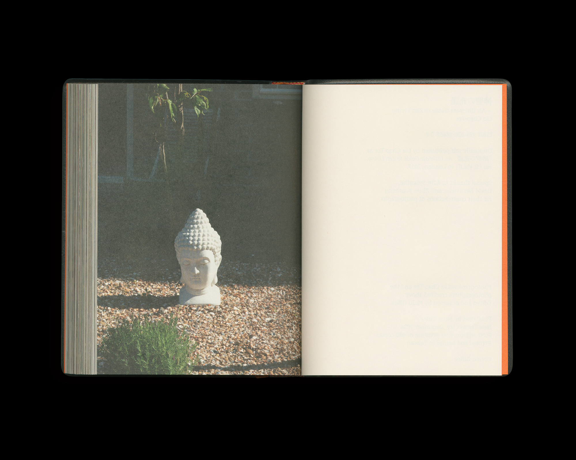 神聖の充滿—An Ultimate Guide to Zen Living