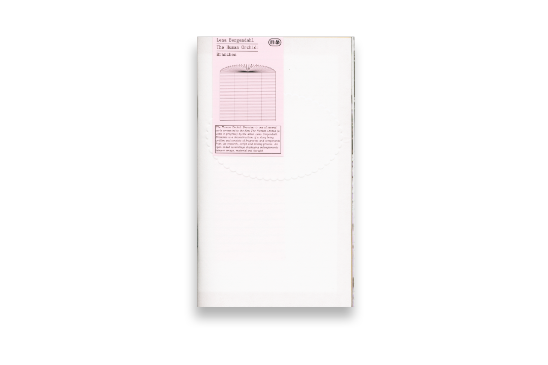 The Human Orchid: Branches