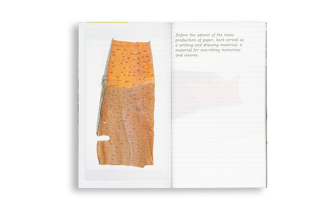 The Human Orchid: Branches